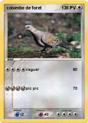 Pokemon colombe de foret