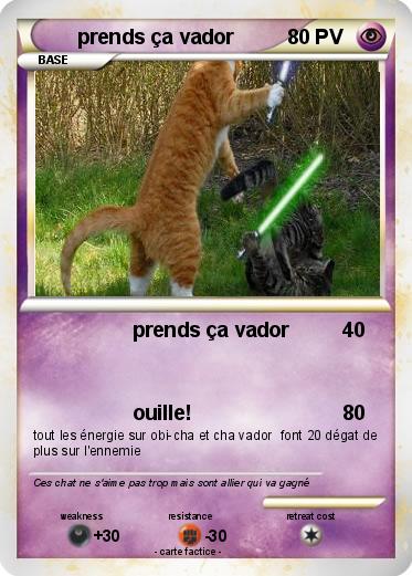 Pokemon prends ça vador