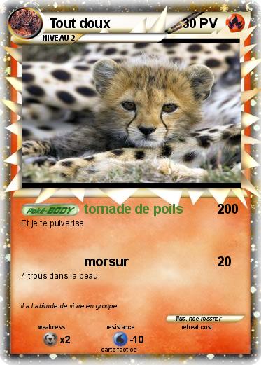 Pokemon Tout doux