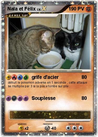 Pokemon Nala et Félix