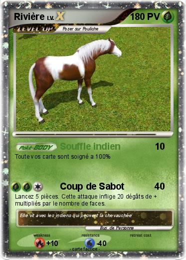 Pokemon Rivière