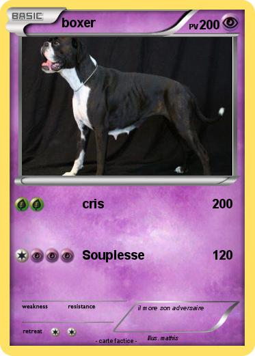 Pokemon boxer