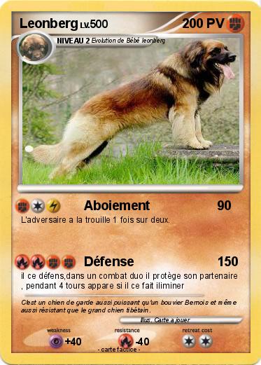 Pokemon Leonberg