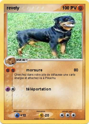 Pokemon revely