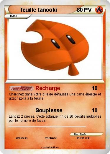 Pokemon feuille tanooki