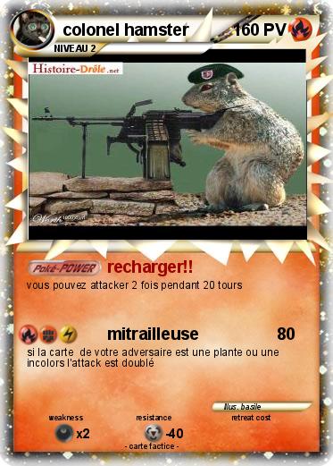 Pokemon colonel hamster