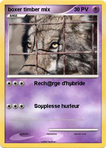 Pokemon boxer timber mix