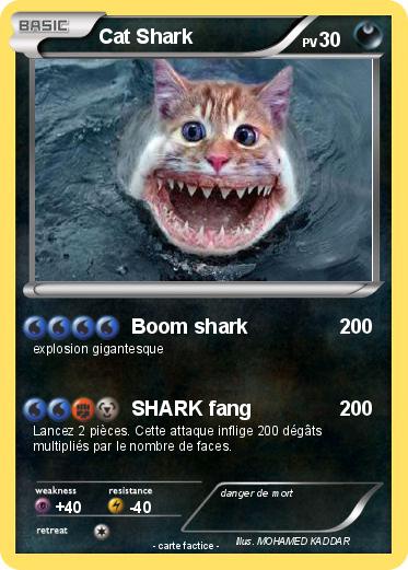 Pokemon Cat Shark