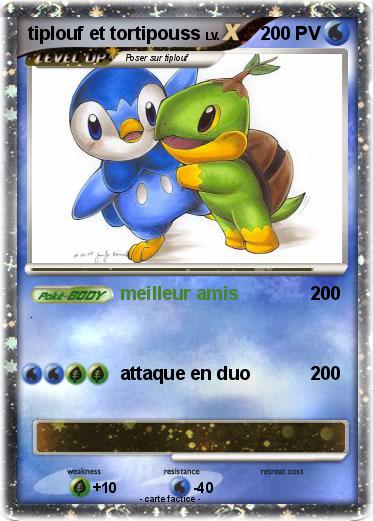 Pokemon tiplouf et tortipouss