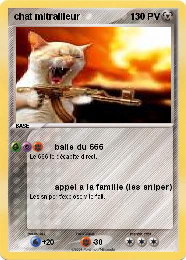 Pokemon chat mitrailleur