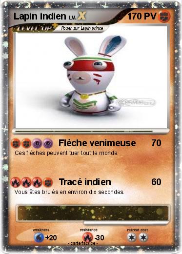Pokemon Lapin indien