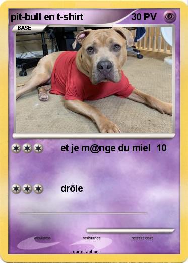 Pokemon pit-bull en t-shirt