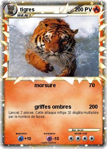 Pokemon tigres