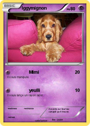 Pokemon Iggymignon