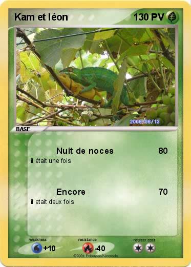 Pokemon Kam et léon