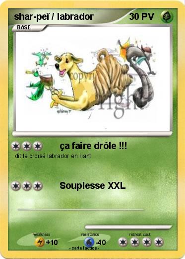Pokemon shar-peï / labrador