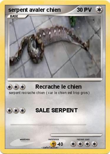 Pokemon serpent avaler chien