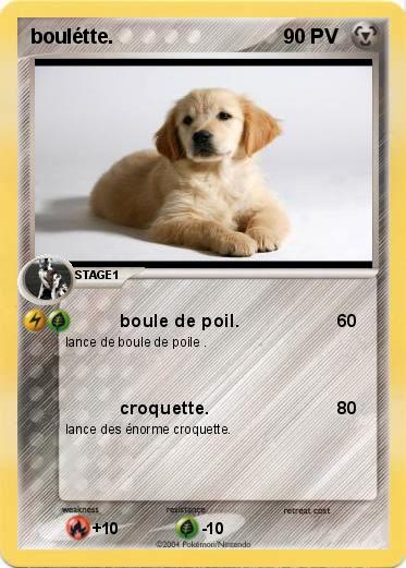 Pokemon boulétte.