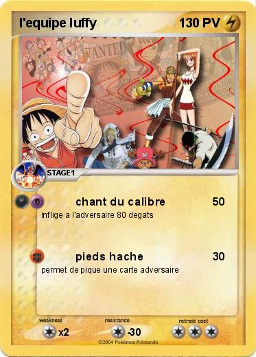 Pokemon l'equipe luffy
