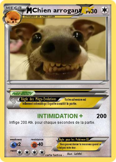 Pokemon Chien arrogant