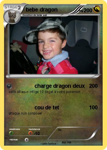 Pokemon bebe dragon