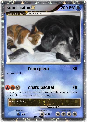 Pokemon super cat