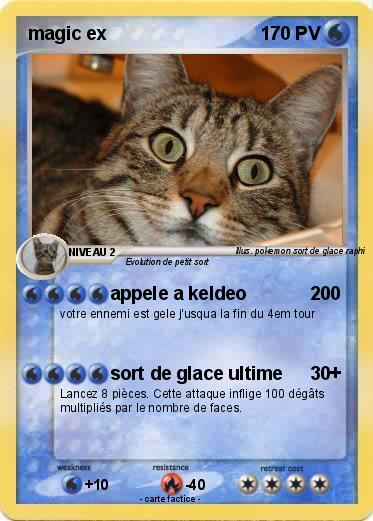 Pokemon magic ex