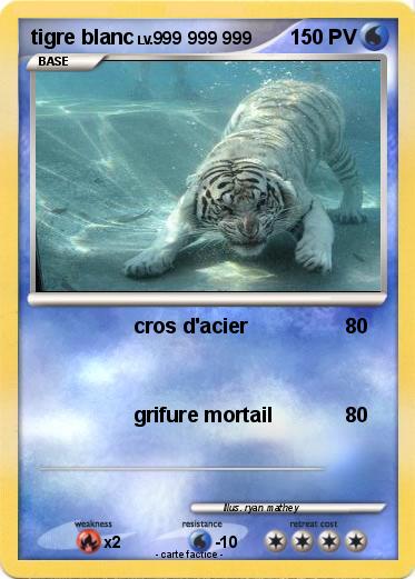 Pokemon tigre blanc