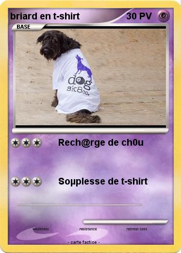 Pokemon briard en t-shirt
