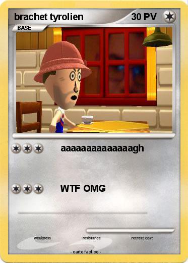 Pokemon brachet tyrolien