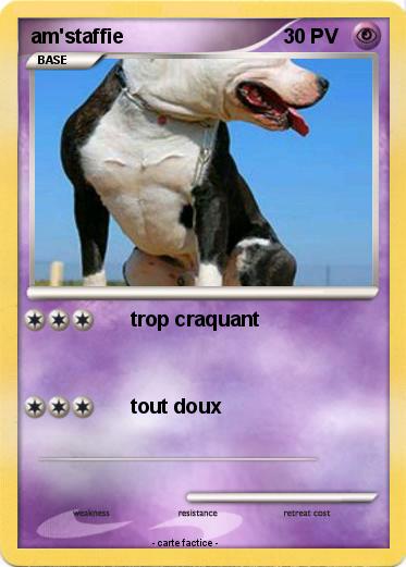 Pokemon am'staffie