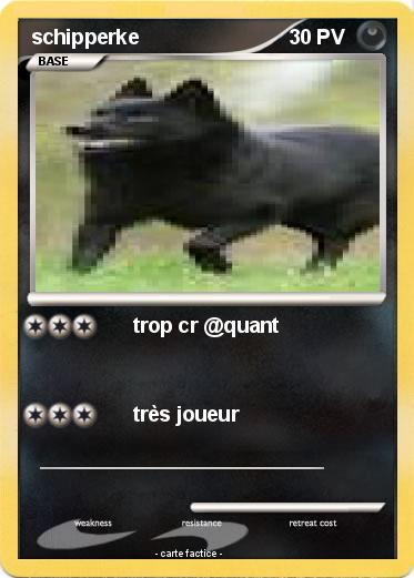 Pokemon schipperke