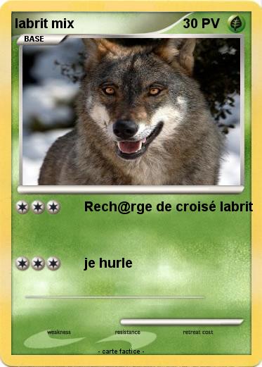 Pokemon labrit mix
