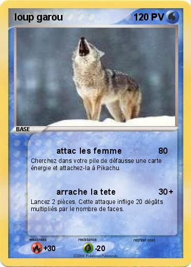 Pokemon loup garou