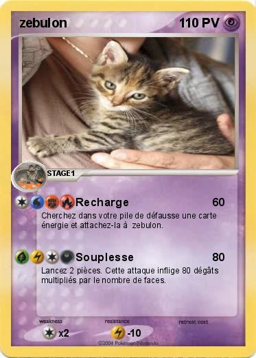 Pokemon zebulon