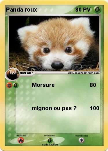 Pokemon Panda roux