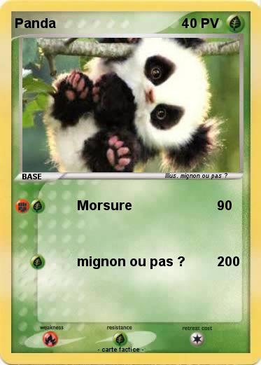 Pokemon Panda
