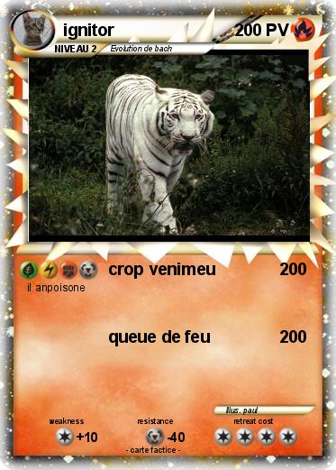 Pokemon ignitor