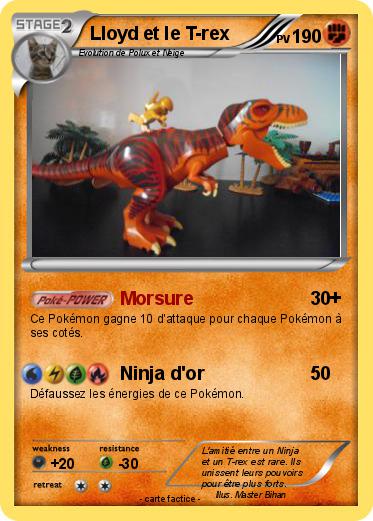 Pokemon Lloyd et le T-rex