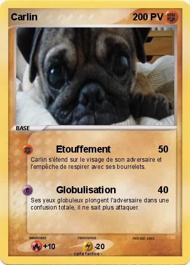 Pokemon Carlin