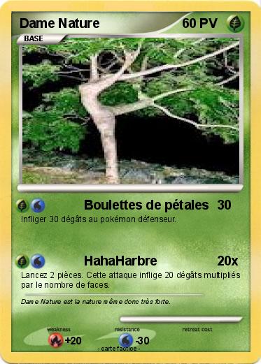 Pokemon Dame Nature