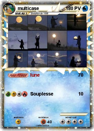 Pokemon multicase