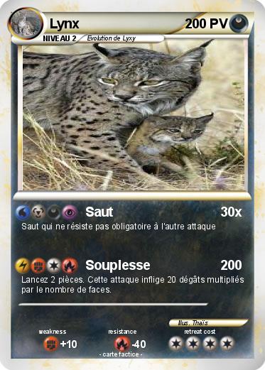 Pokemon Lynx