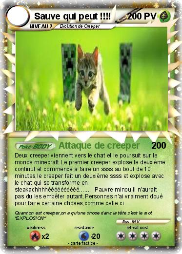 Pokemon Sauve qui peut !!!!