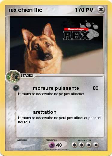 Pokemon rex chien flic                     1