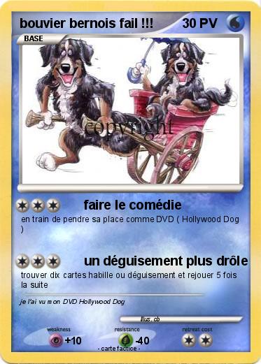 Pokemon bouvier bernois fail !!!