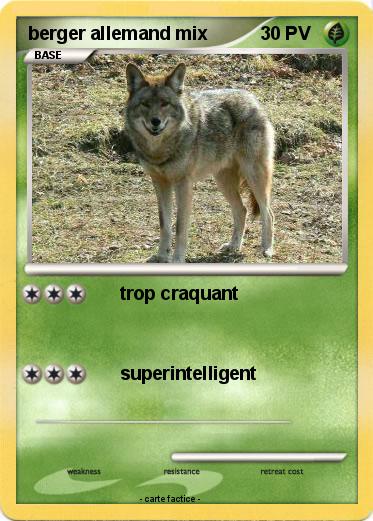 Pokemon berger allemand mix