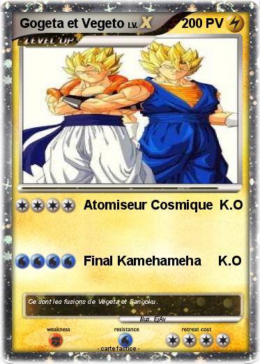 Pokemon Gogeta et Vegeto