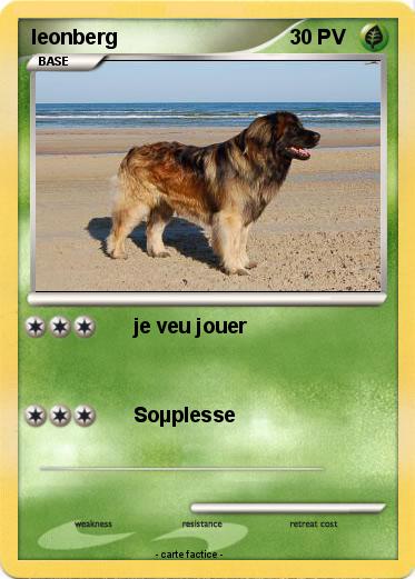 Pokemon leonberg