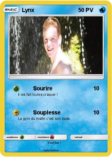 Pokemon Lynx